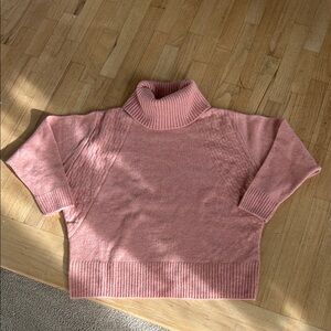 Topshop Turtleneck Sweater
